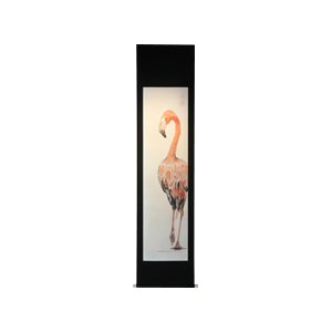 紅鶴-flamingo