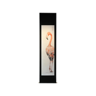 紅鶴-flamingo