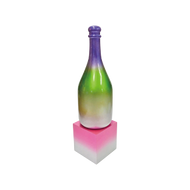 Champagne Bottle 3