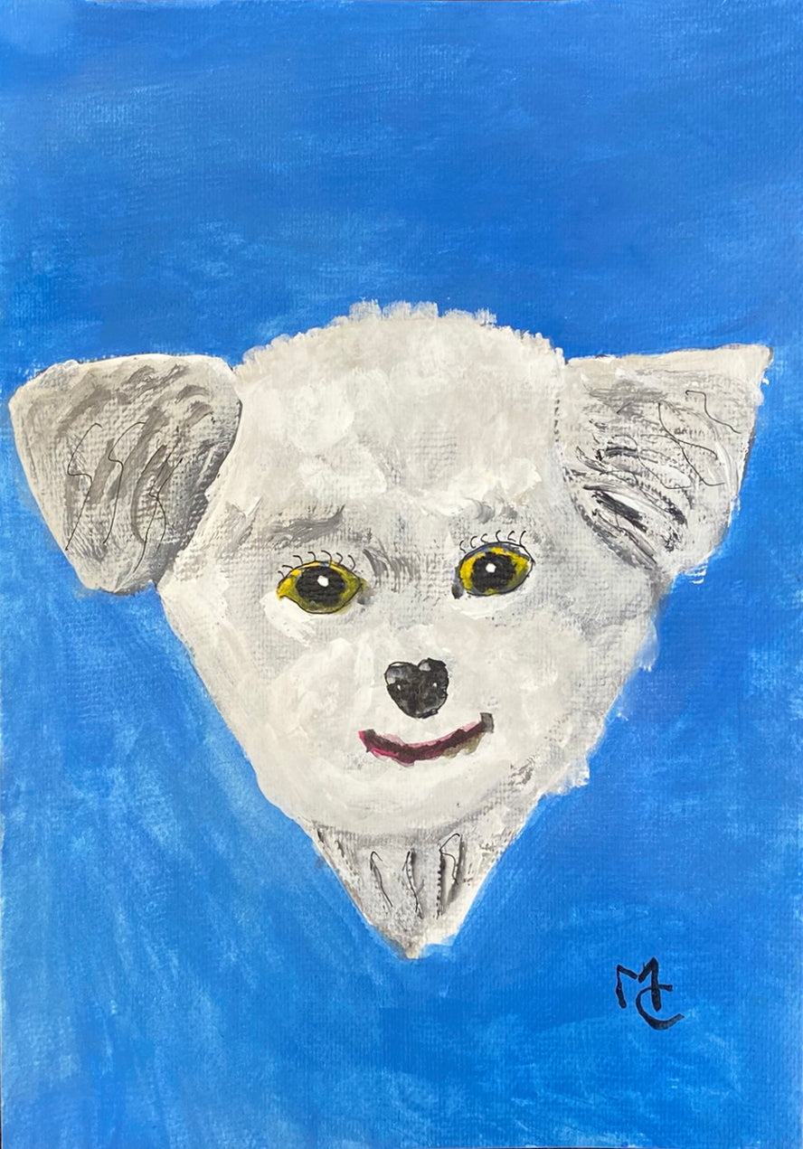 犬72