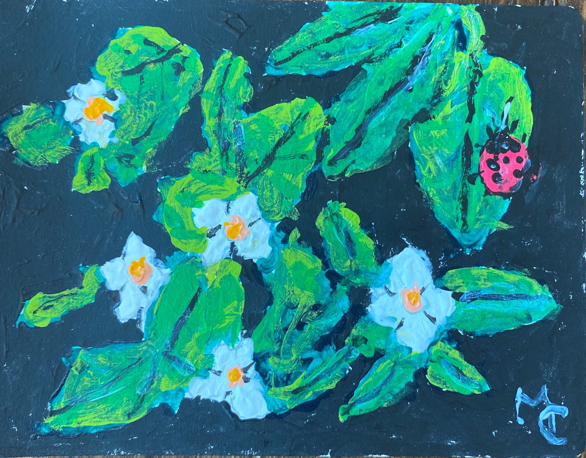 花04