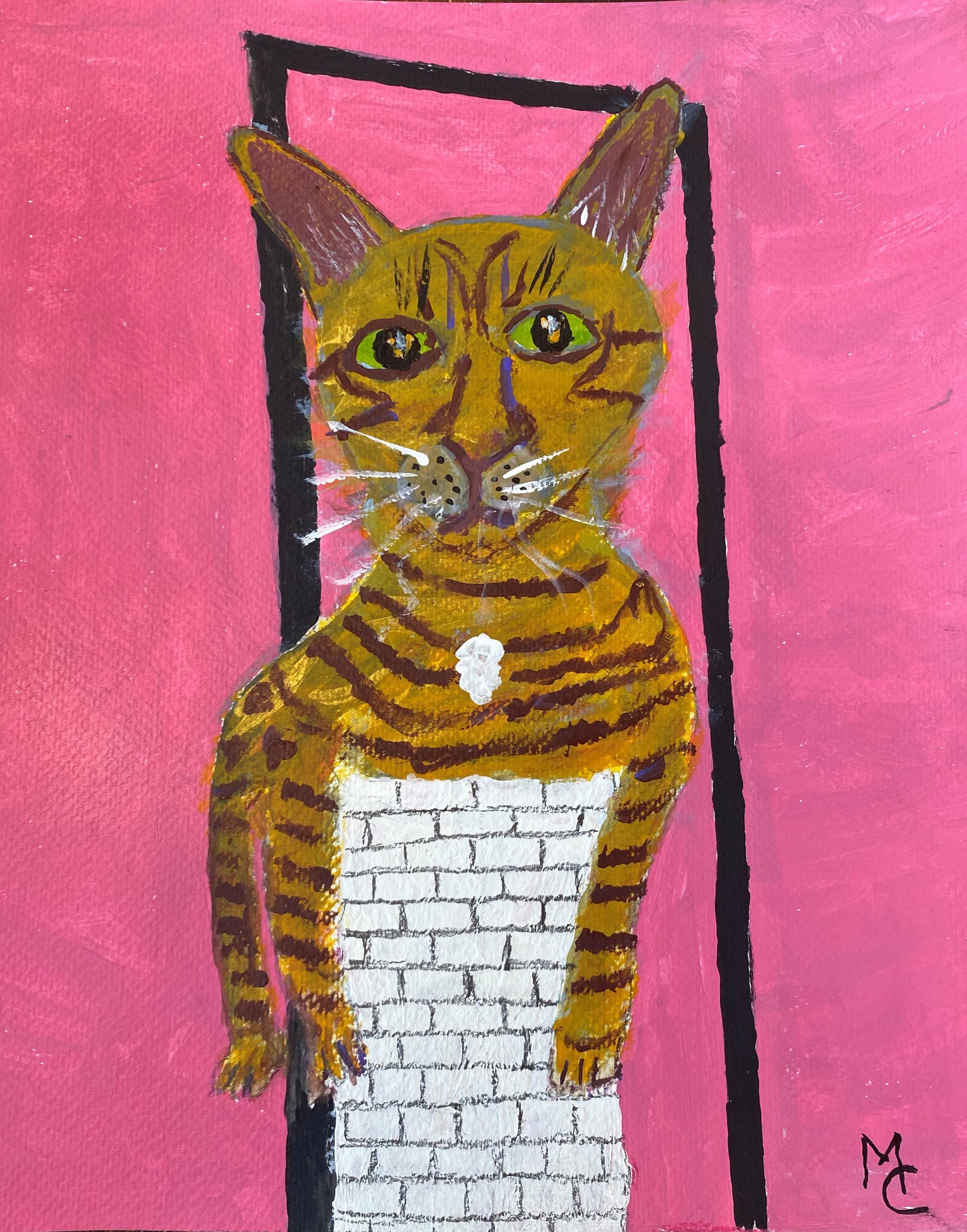 猫10