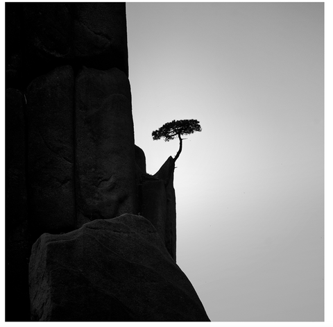 Taoism in Nature #2